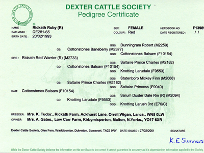 Dexter Registration Papers
