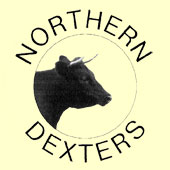 Northern Dexter Group
