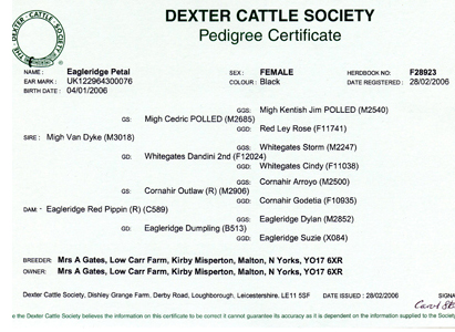 Dexter Cattle Pedigree